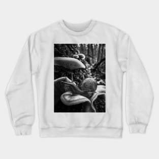 Snail on mushrooms Crewneck Sweatshirt